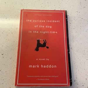 The Curious incident of the dog in the night time